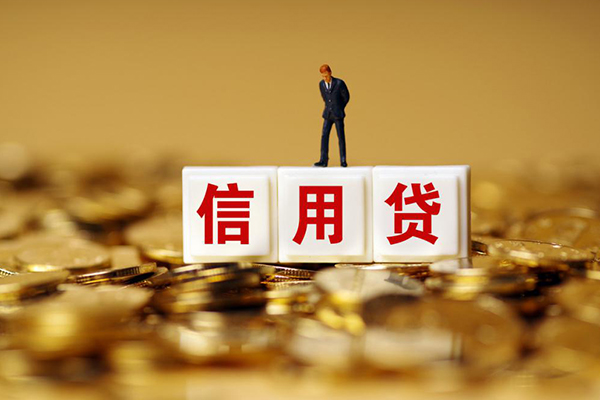 上海私放短借空放-上海私放哪里可以借私借-上海私放无抵押信用贷款