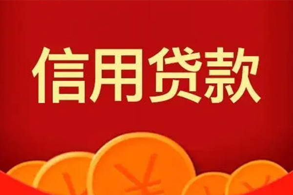 上海私放民间借贷当天下款-上海私放私借空放直接上门-上海私放个人小额贷款
